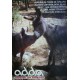 Revista nº 46 Corridas de toros en Cataluña
