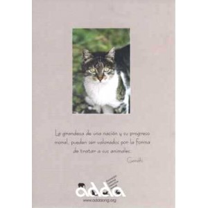 Poster Gato