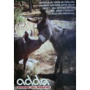 Revista nº 46 Corridas de toros en Cataluña