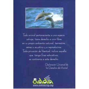 Poster Delfines